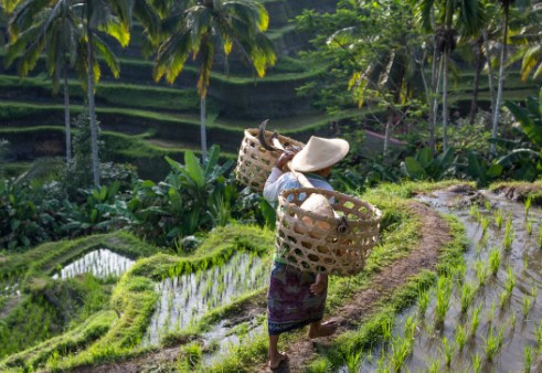 Bali Tour Package untuk Menikmati Sisi Tenang dan Eksotis Pulau Dewata